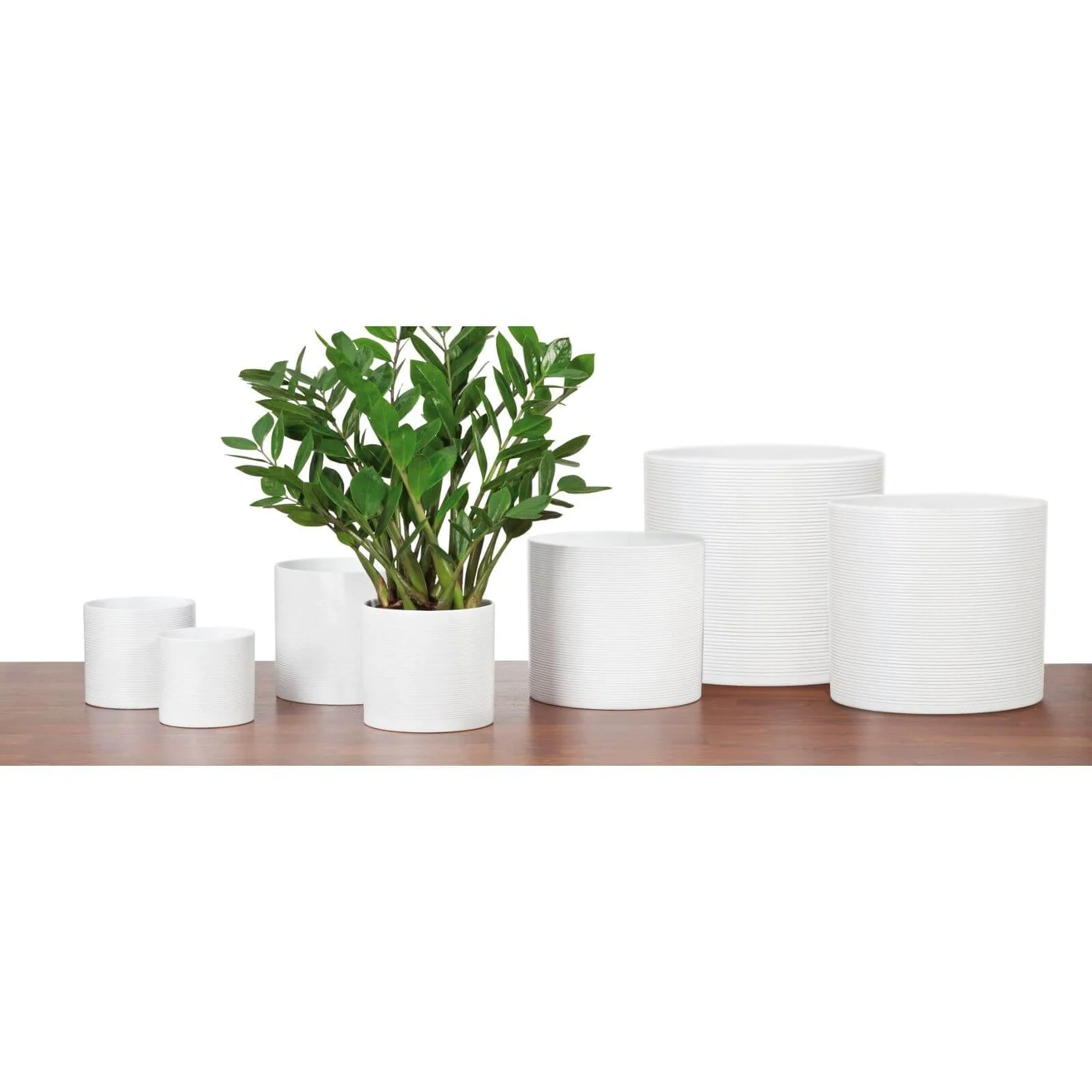 White Plant Pot - 16cm 4 White Plant Pot - 16cm - Image 2
