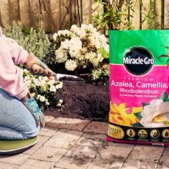 Miracle Gro Premium Azalea, Camellia & Rhododendron Ericaceous Compost - 40L -Home Style Shop 12882812 1004843671886080