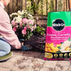Miracle Gro Premium Azalea, Camellia & Rhododendron Ericaceous Compost - 40L -Home Style Shop 12882812 1404843671956442