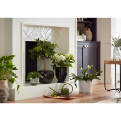 Regent Glazed Urn Planter - 21cm -Home Style Shop 12885371 1614948242968073