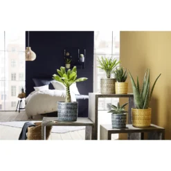 Elna 19cm Ceramic Pot - 19cm -Home Style Shop 12888976 1364843776004950