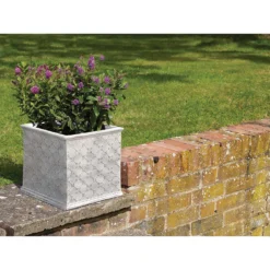 Mayfair Antique White Cube - 23cm -Home Style Shop 12940005 1214856476799928