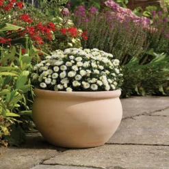 Regency Terracotta Bowl - 48cm -Home Style Shop 13176832 5264933182853242