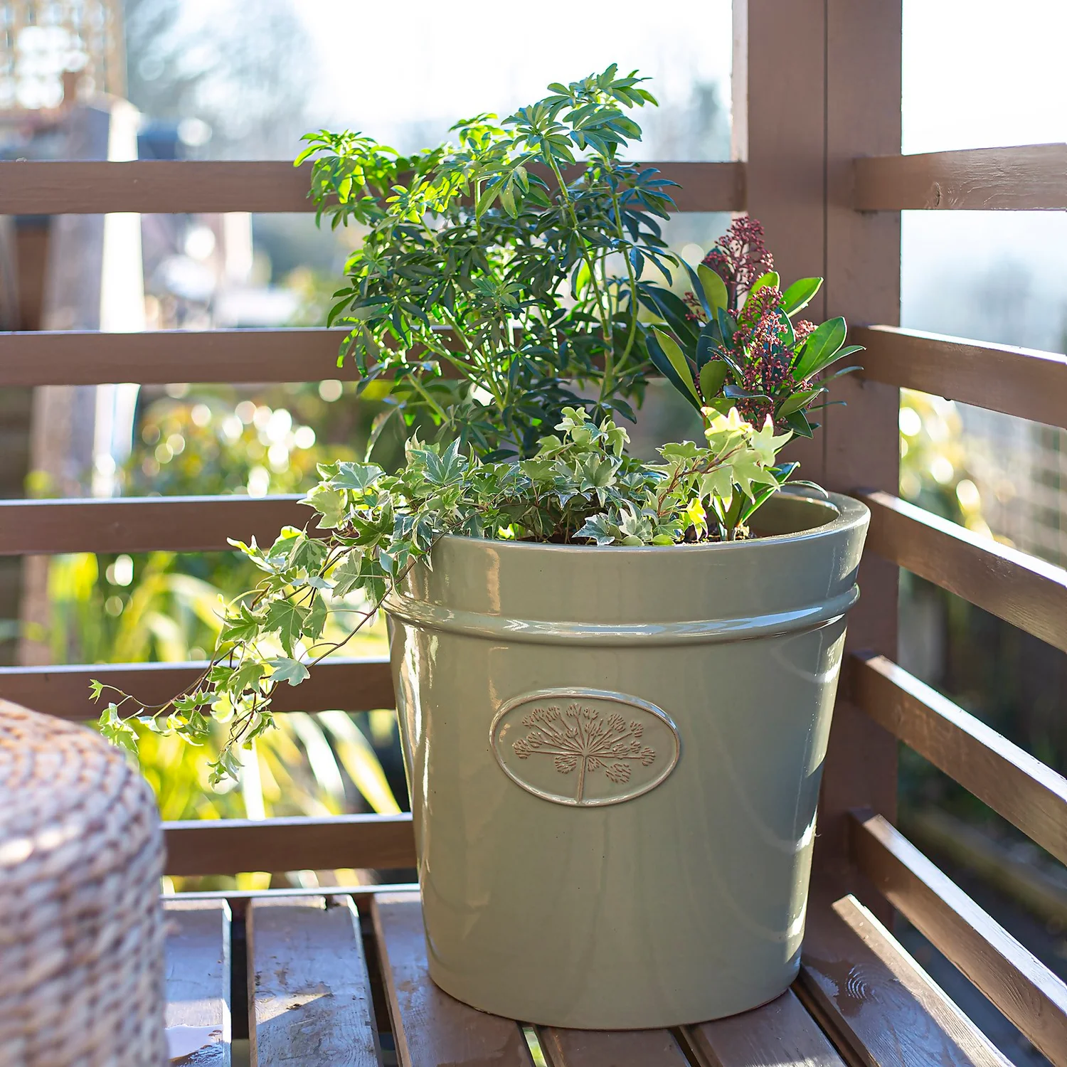 Country Living Heritage Sage Cone Pot - 33cm 4 Country Living Heritage Sage Cone Pot - 33cm - Image 2