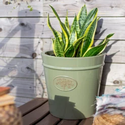 Country Living Heritage Sage Cone Pot - 33cm 13 Country Living Heritage Sage Cone Pot - 33cm -Home Style Shop 13188755 4344933183213293