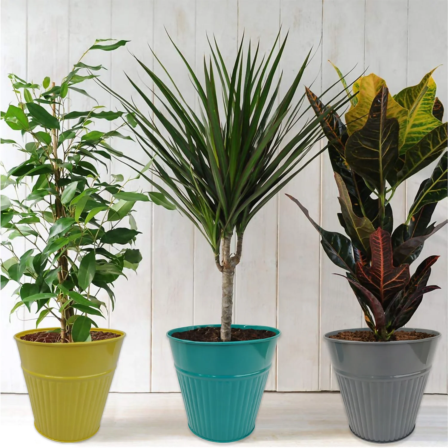 Ribbed Planter (3 Colour Mix) - 18cm 4 Ribbed Planter (3 Colour Mix) - 18cm - Image 2