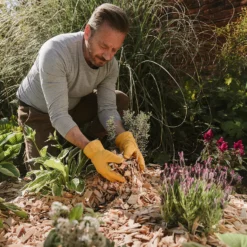 Westland Rustic Wood Chips - 60L -Home Style Shop 13280769 1174929084831075