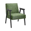 Alex Mid Century Armchair - Green -Home Style Shop 13514418 1344964542917606