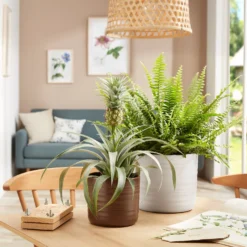 Scheurich Ripple White Indoor Pot - 20cm -Home Style Shop 13953260 2084987120140852