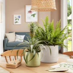 Scheurich Ripple Soft Green Indoor Pot - 20cm -Home Style Shop 13953267 1214987119947667