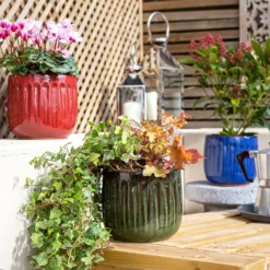 Chiswick Running Pot Blue - 18cm -Home Style Shop 13973641 5605011238378613