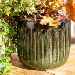 Chiswick Running Pot Green - 30cm 10 Chiswick Running Pot Green - 30cm -Home Style Shop 13973644 1165011242627159