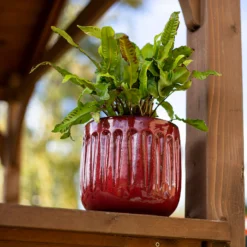 Chiswick Running Pot Red - 30cm -Home Style Shop 13973649 7005011242786438