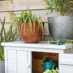 Suva Hammered Pot Copper - 31cm -Home Style Shop 13973652 1145011805950221