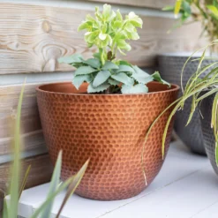Suva Hammered Pot Copper - 31cm -Home Style Shop 13973652 1715011805989134