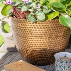 Suva Hammered Pot Bronze - 38cm -Home Style Shop 13973655 9525011805626407